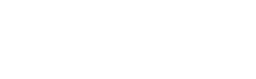 Wirely Logo