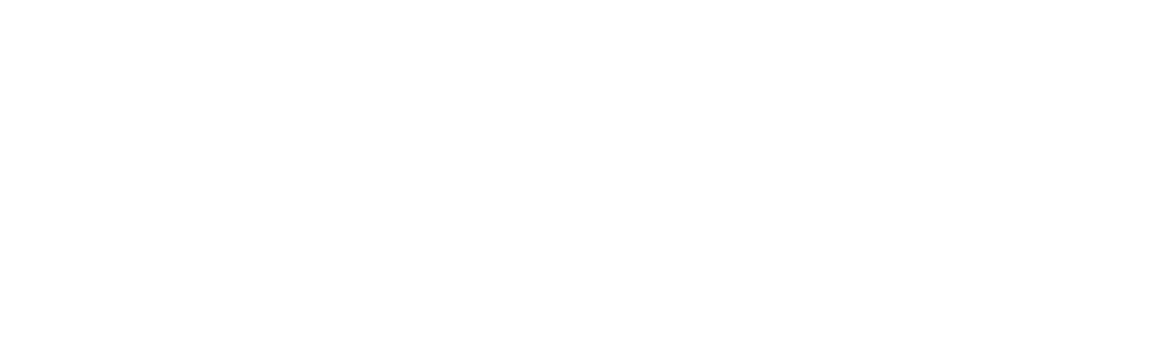 Wirely Logo